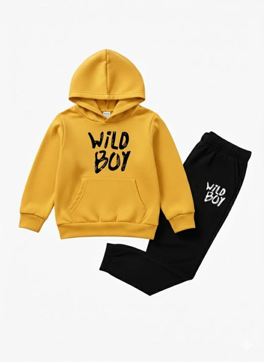 2 Pcs Boy's fleece printed Hoodie Tracksuit